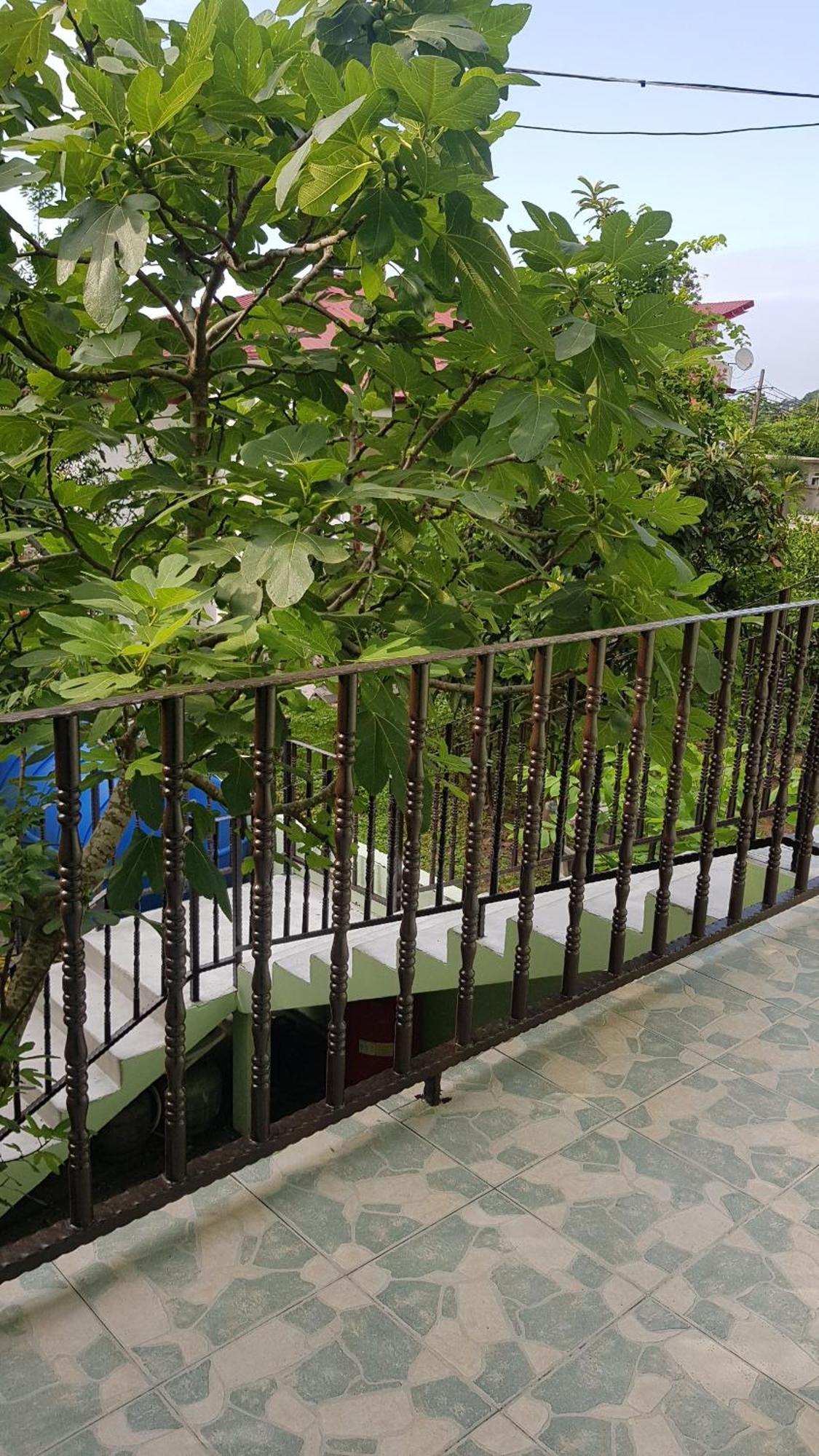 Hotel Captain Gonio Luaran gambar